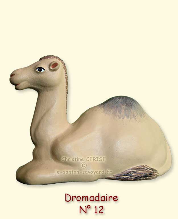 N°12 Dromadaire
